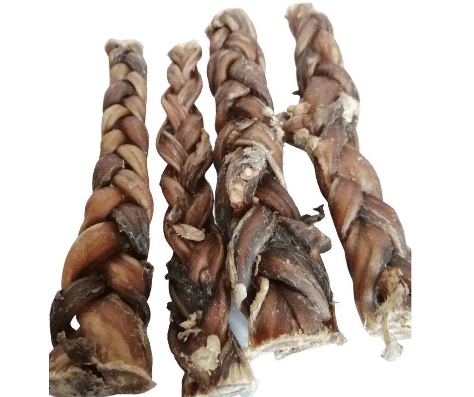 Premium Braided Pizzle