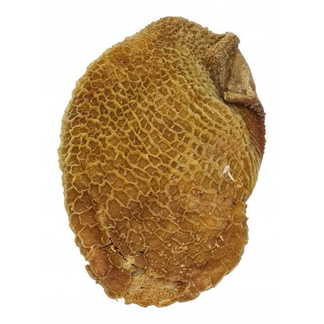 Beef Honeycomb from Friends and Canines