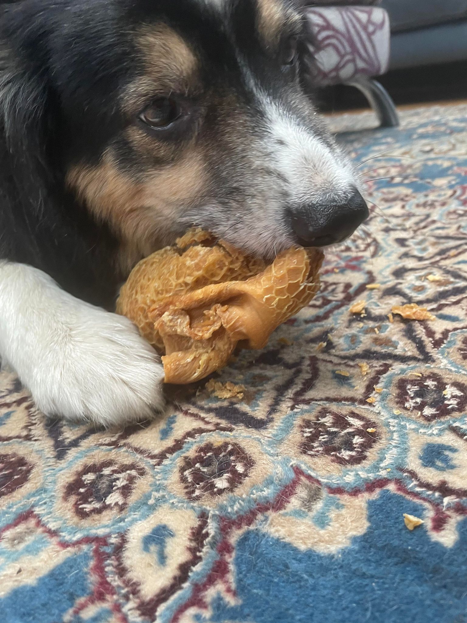 Beef Honeycomb from Friends and Canines