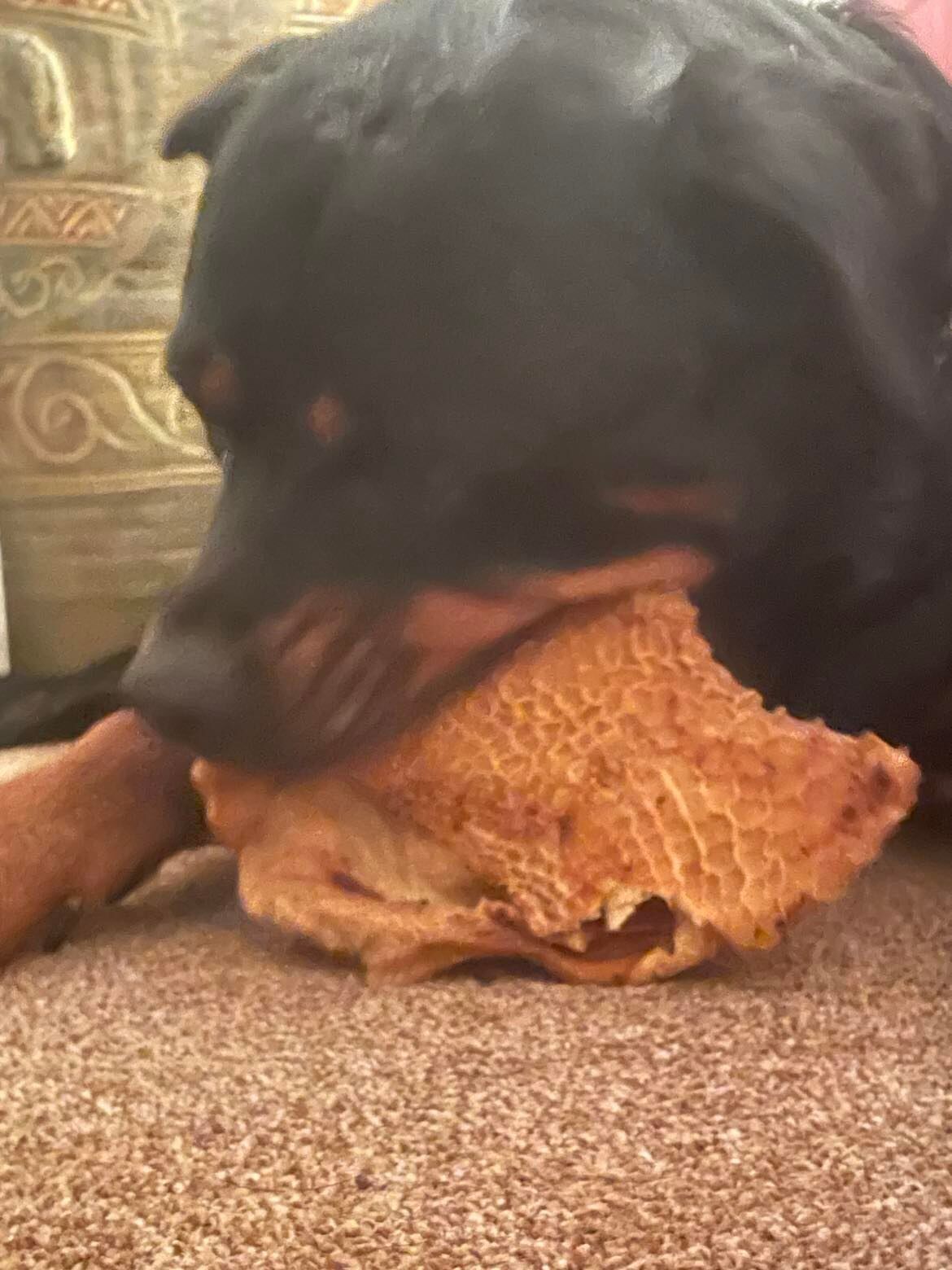 Beef Honeycomb from Friends and Canines