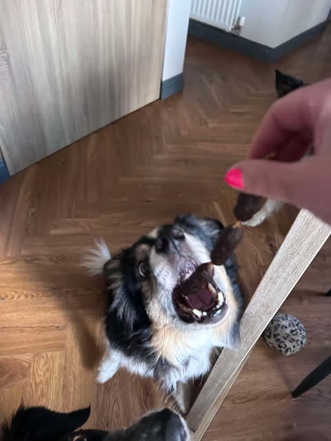 Pork Sausages from Friends and Canines