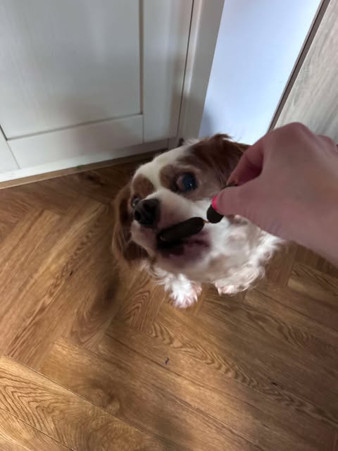 Pork Sausages from Friends and Canines