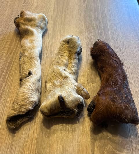 Hairy Beef Leg Roll from Friends and Canines