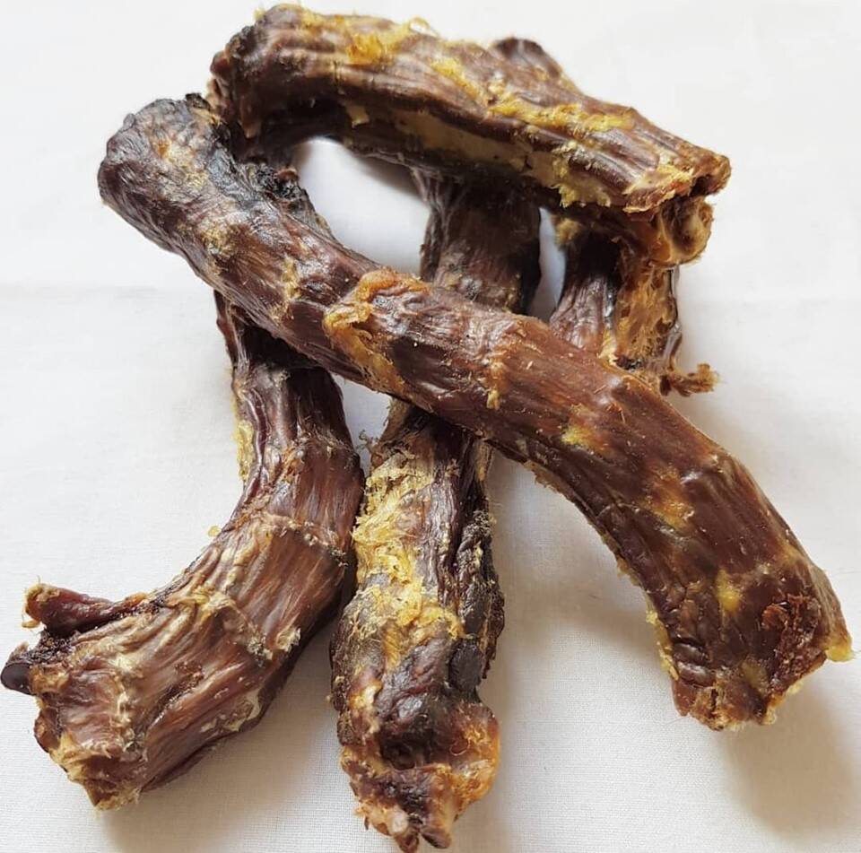 Friends and Canines | Duck Neck