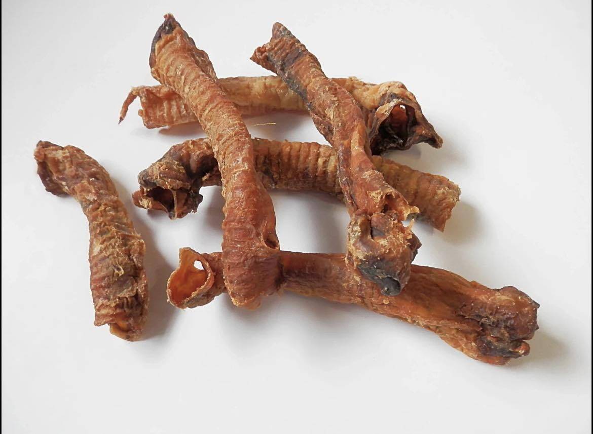 Lamb Trachea from Friends and Canines