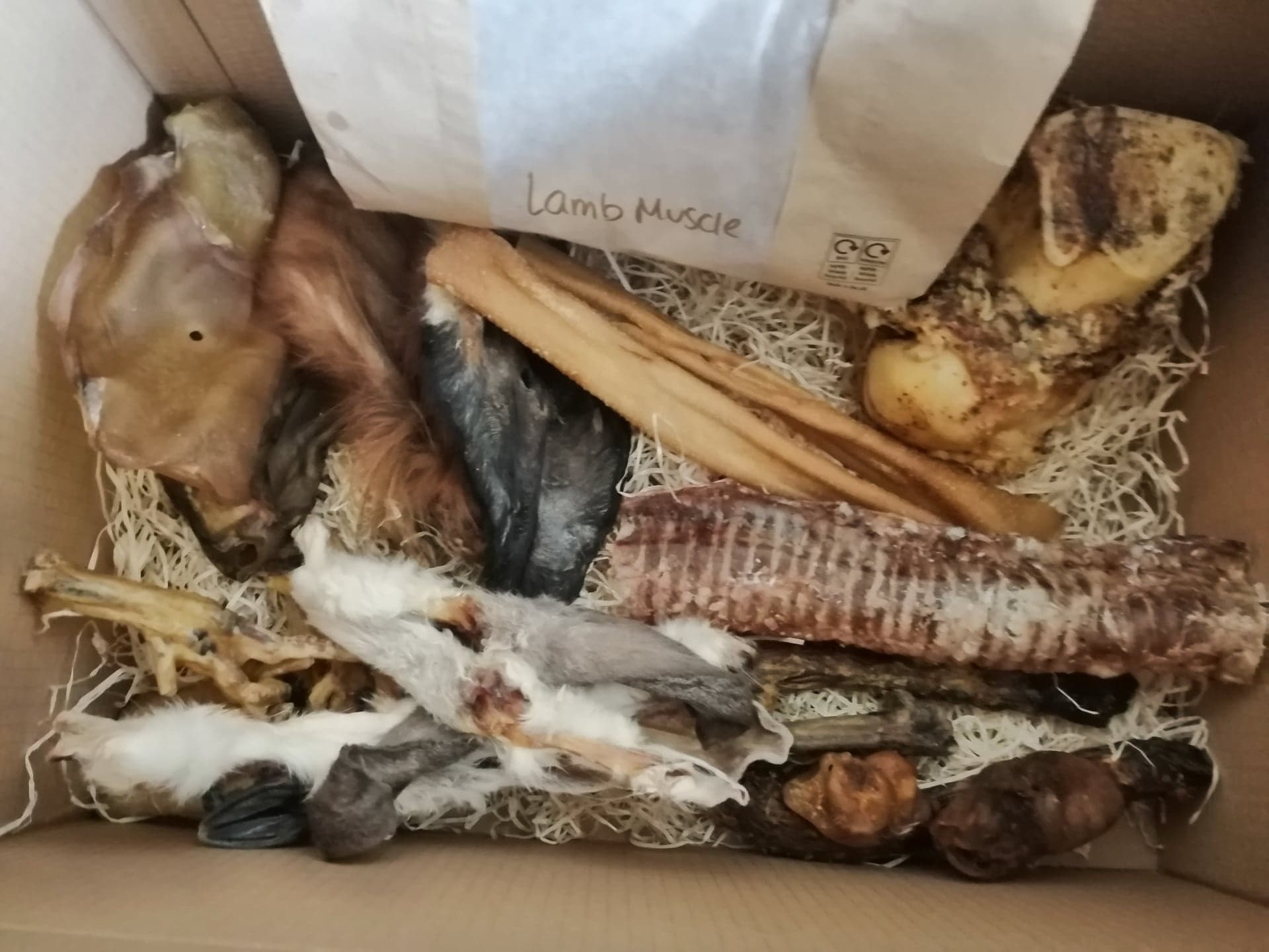 Monthly Dog Treat Box
